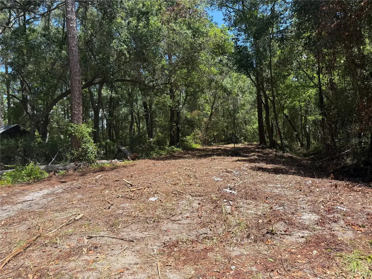 TBD NE 115 Avenue, Fort McCoy Anthony, FL 32134 - Image #1