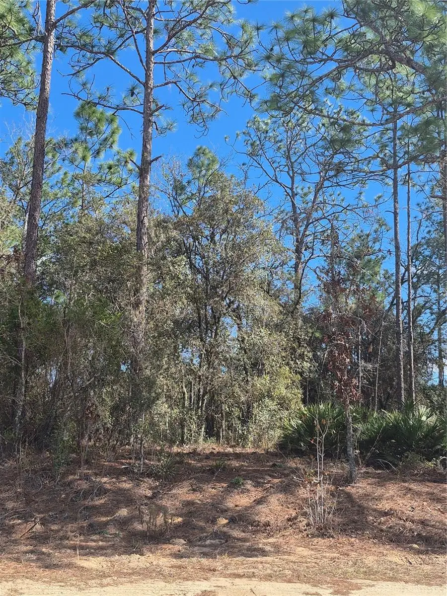 Sw 59th Lane, Ocala, FL 34481 - Image #3