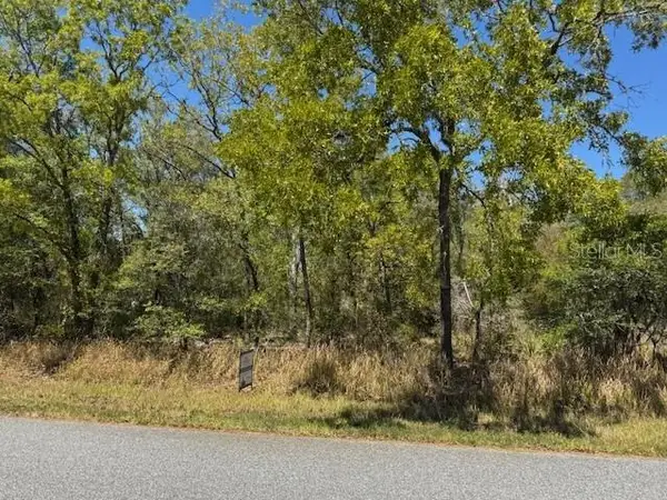 25 Elm Loop, OCALA, FL 34472