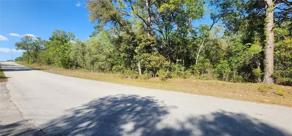 TBD SW Viburnum Road, DUNNELLON, FL 34431