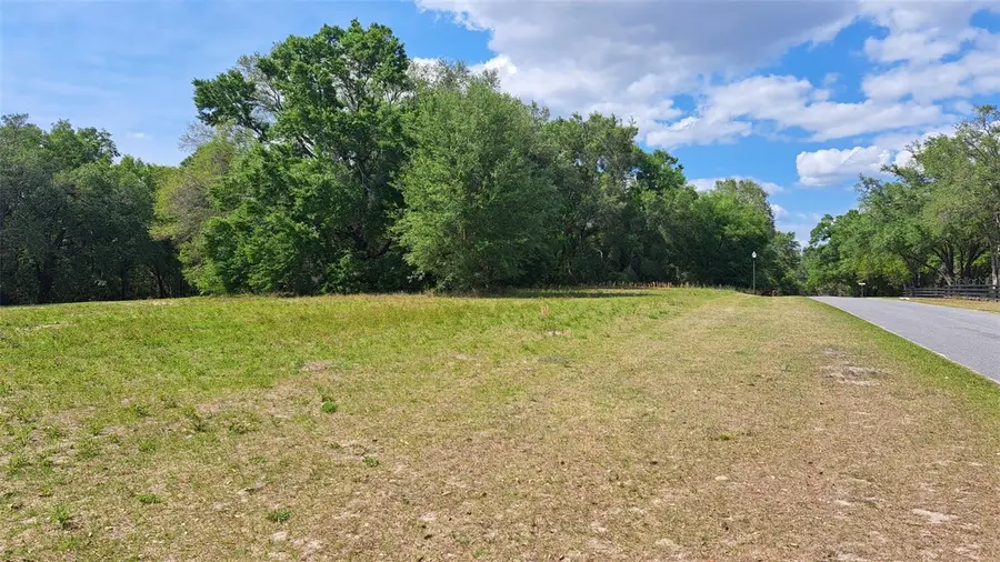 00 SE 101st Ct Road, Belleview, FL 34420 - #2