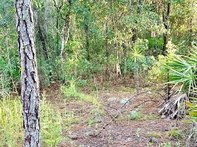 #2