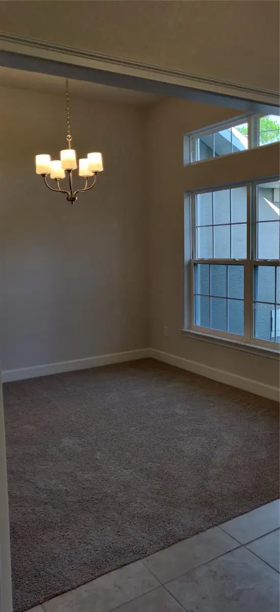 16031 Scaup Duck Avenue, Weeki Wachee, FL 34614 - Image #3