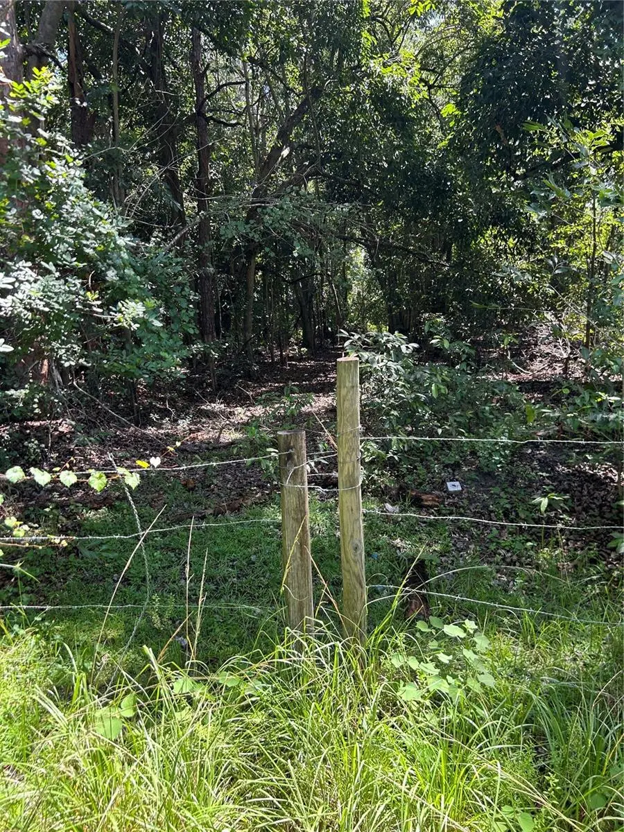 Ahinga Road, Naples, FL 34120 - Image #3