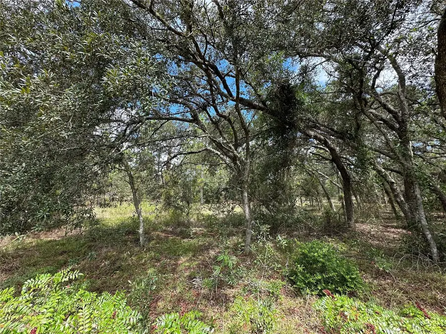 Address Withheld By Seller, Dunnellon, FL 34431 - Image #2