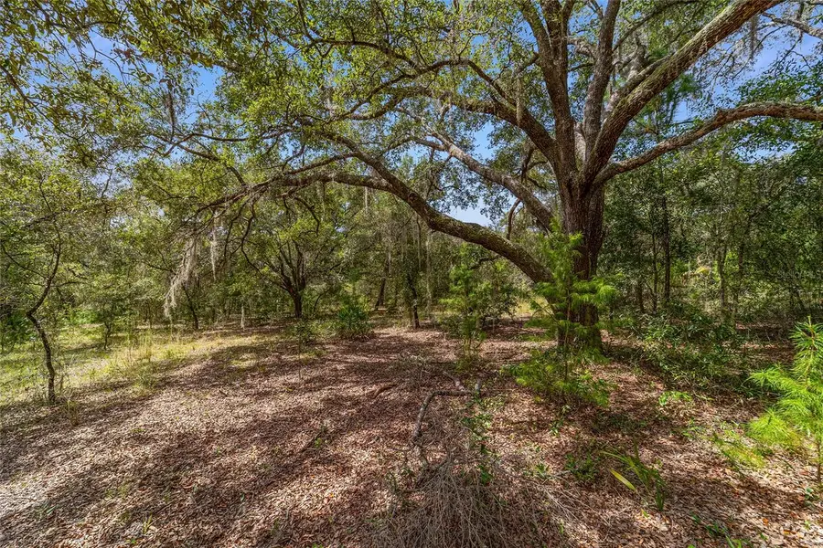 TBD SW Winding Hills Road, Dunnellon, FL 34431 - Image #3