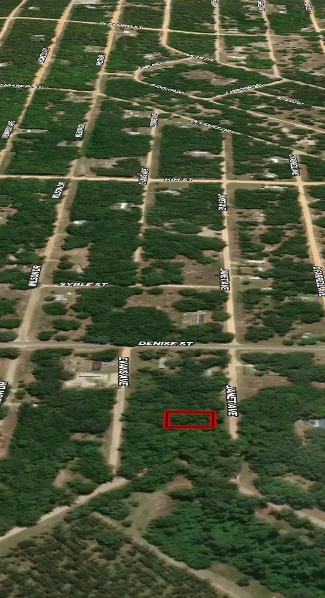 LOT 3 Janet Avenue, Interlachen, FL 32148 - Image #2