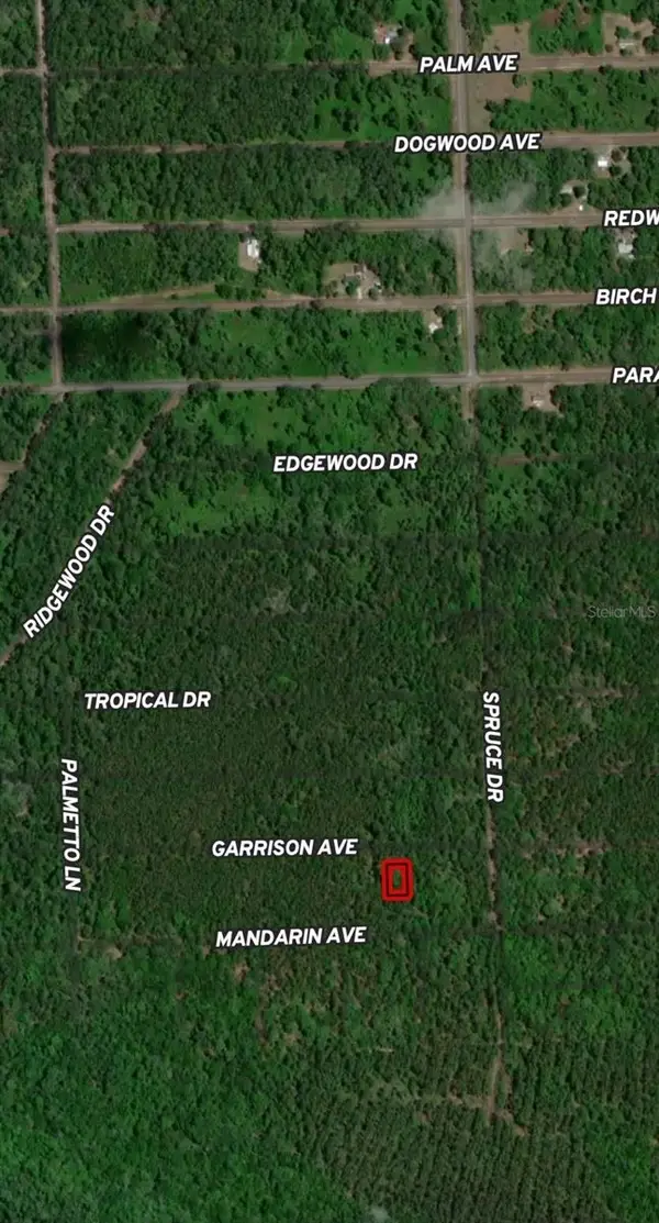 131 Garrison Avenue, GEORGETOWN, FL 32139