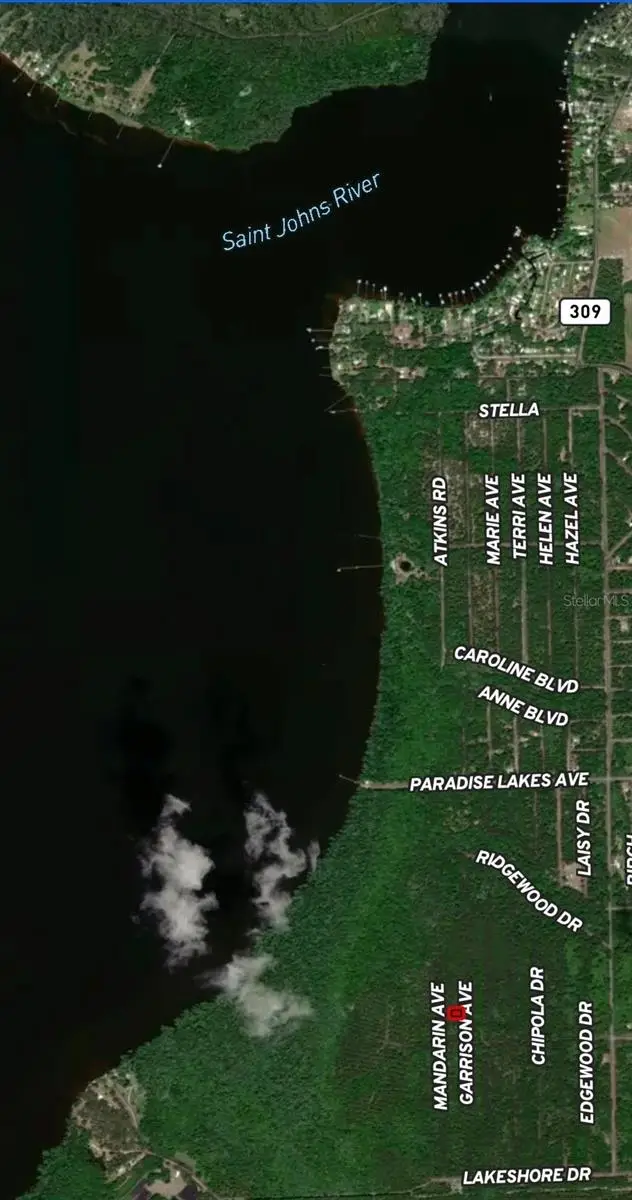 131 Garrison Avenue, Georgetown, FL 32139 - Image #3