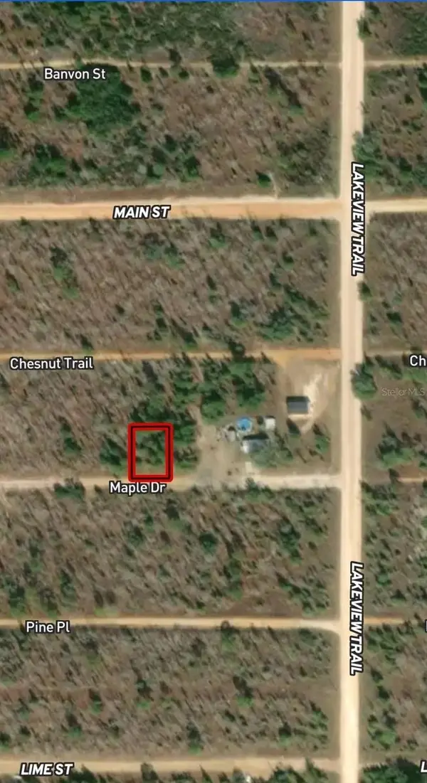 LOT 46 & 46 Maple Drive, INTERLACHEN, FL 32148