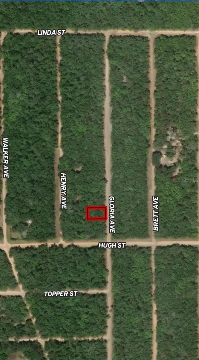 LOT 20 Gloria Avenue, Interlachen, FL 32148 - Image #1