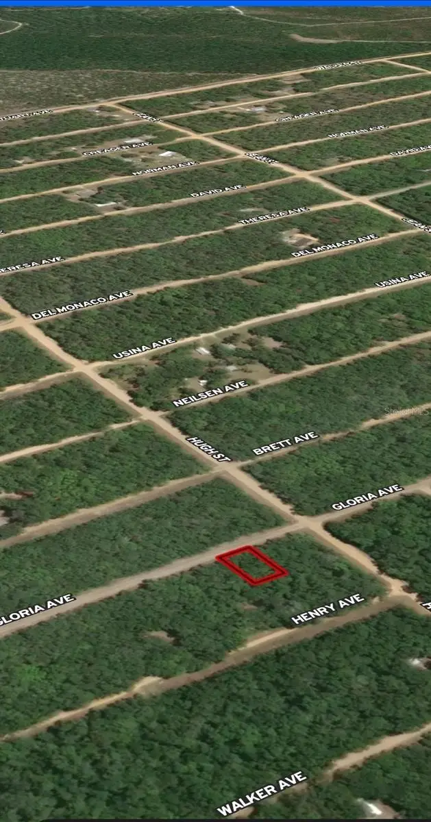 LOT 20 Gloria Avenue, Interlachen, FL 32148 - Image #2