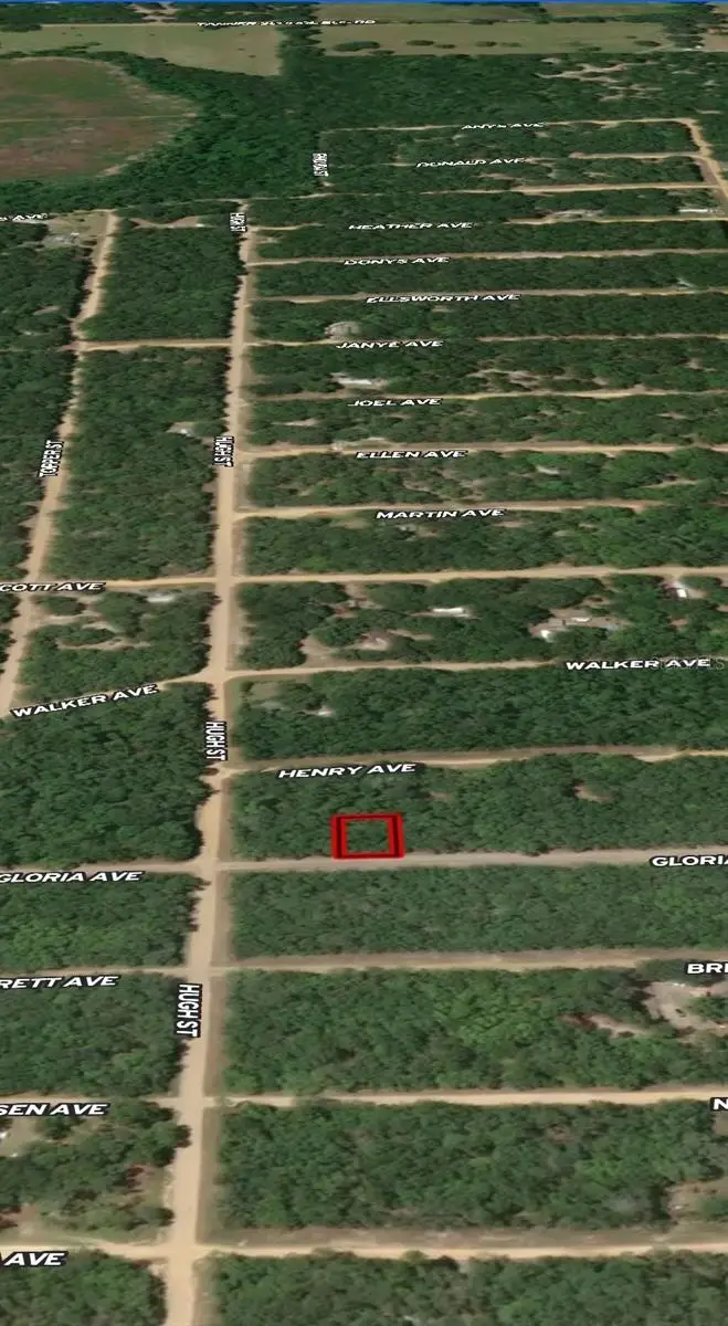 LOT 20 Gloria Avenue, Interlachen, FL 32148 - Image #3