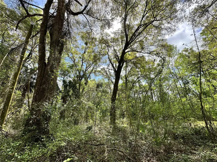 tbd SW 5th Lane, Ocala, FL 34481 - #3