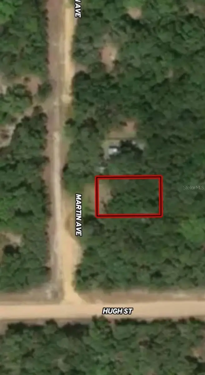 LOT 12 Martin Avenue, Interlachen, FL 32148 - Image #1