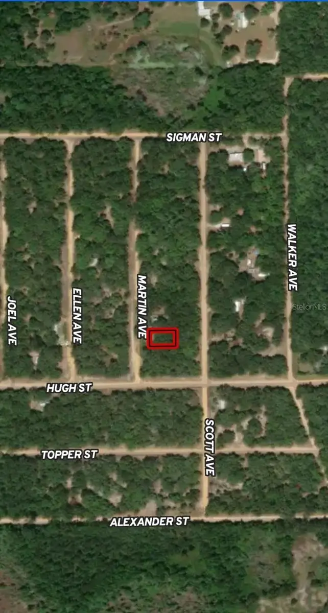LOT 12 Martin Avenue, Interlachen, FL 32148 - Image #2