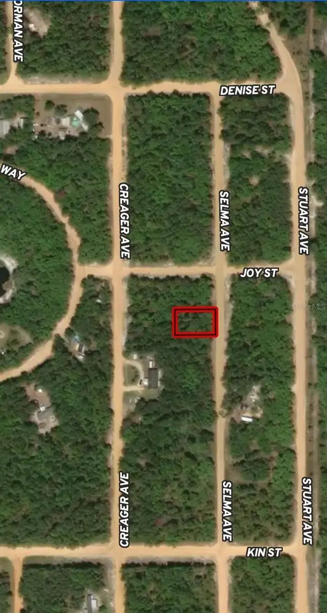 LOT 19 Selma Avenue, Interlachen, FL 32148 - Image #1