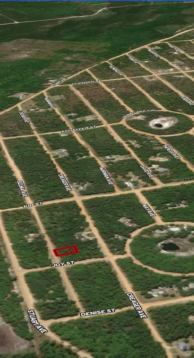 LOT 19 Selma Avenue, Interlachen, FL 32148 - Image #3