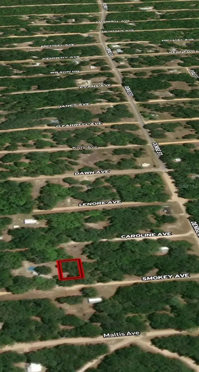 LOT 12 Smokey Avenue, Interlachen, FL 32148 - Image #3