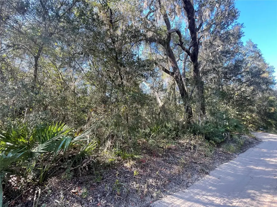 TBD NE 199th Place, Fort McCoy, FL 32134 - Image #3