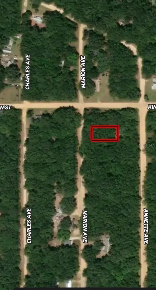 LOT 2 Marion Avenue, Interlachen, FL 32148 - Image #2