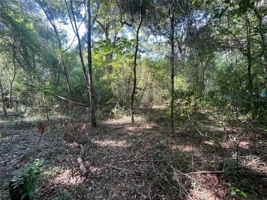521 NE 31st Street, Ocala, FL 34479 - #3