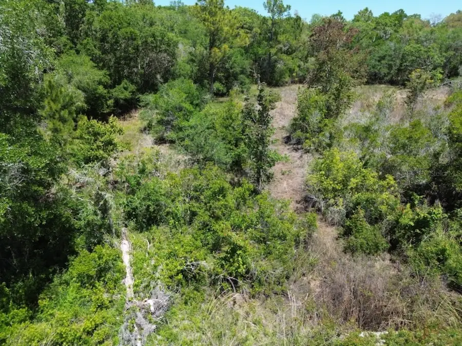 33455 Berryhill Drive, Webster, FL 33597 - #3