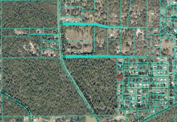 NE 128th Avenue, SILVER SPRINGS, FL 34488