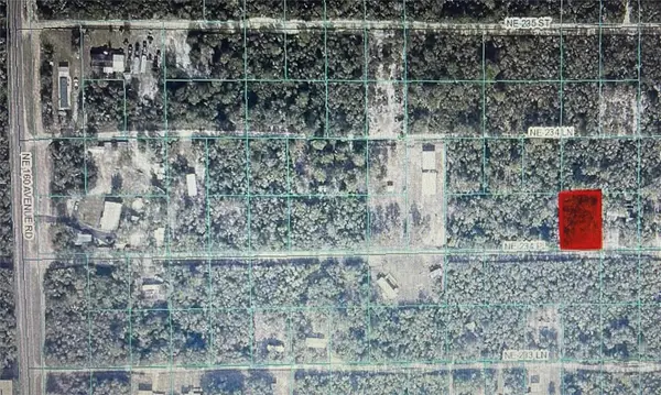 TBD NE Ne 234th Place #ROAD  14, FORT MC COY, FL 32134