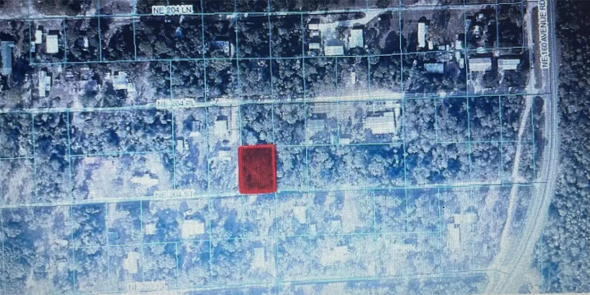 TBD NE Ne 204th Street, Lot 42, Fort McCoy, FL 32134 - #1