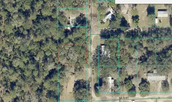 Lot 8 NE 128th Avenue, SILVER SPRINGS, FL 34488