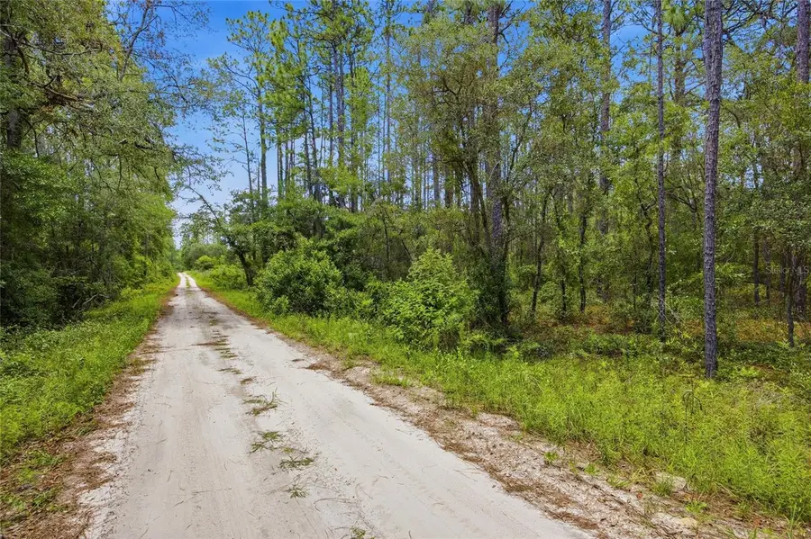 TBD Lake Tropicana Ranchettes 1st Add, Dunnellon, FL 34432 - #3