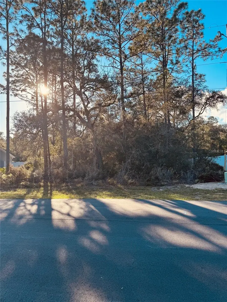 0 SW 69th Court Rd, Ocala, FL 34473 - Image #3