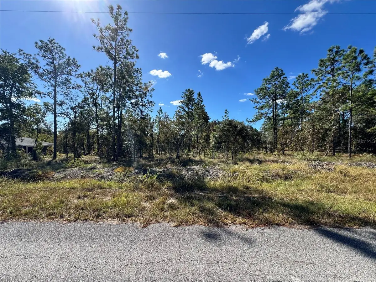 TBD NW Luna Avenue, Dunnellon, FL 34431 - Image #1