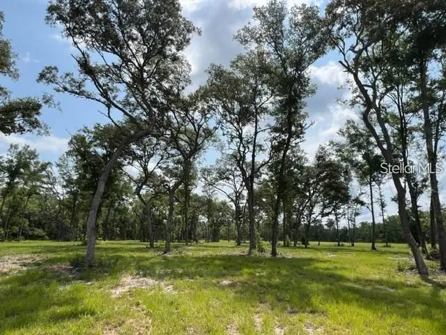 TBD NW 14th St Lot 5&6, Ocala, FL 34482 - Image #3