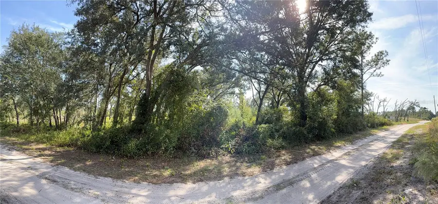 TBD SW 157th Lane, Dunnellon, FL 34432 - Image #3