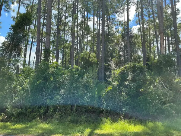 53 Fenwick Lane, PALM COAST, FL 32137