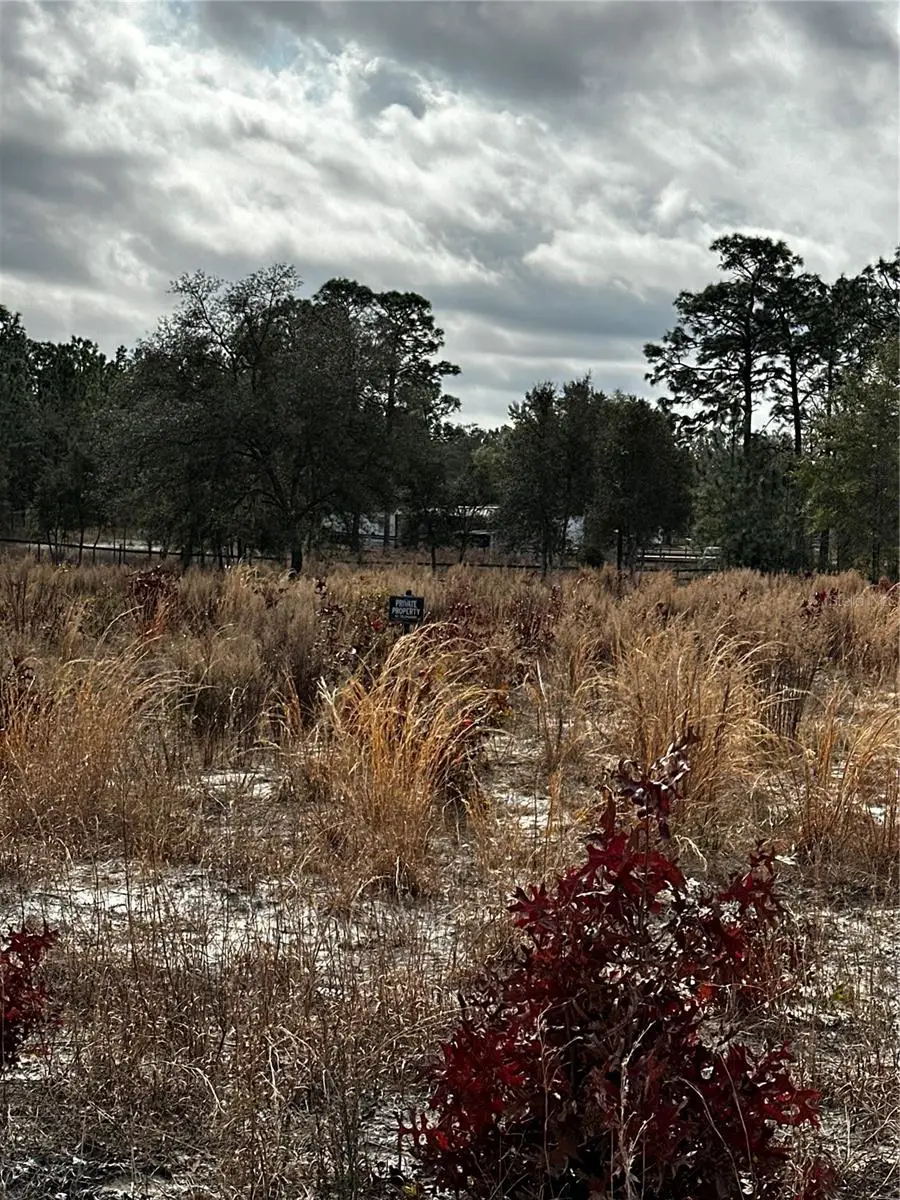 TBA SW 93rd Place, Dunnellon, FL 34432 - Image #1