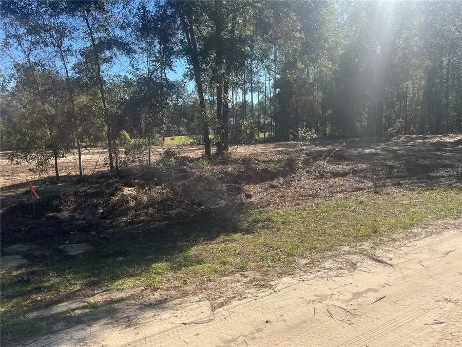 TBD Sw 136 Avenue, Ocala, FL 34481 - Image #2