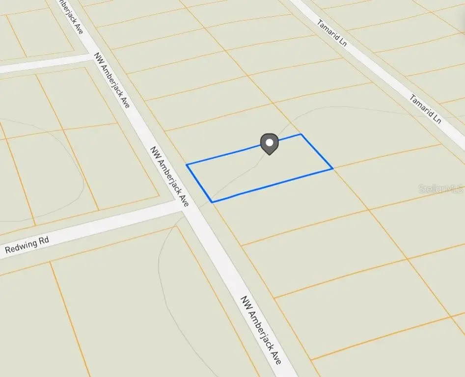 LOT 53 NW Amberjack Avenue, Dunnellon, FL 34431 - Image #1