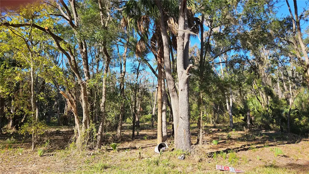 8177 W Catrina Lane, Crystal River, FL 34428 - Image #1