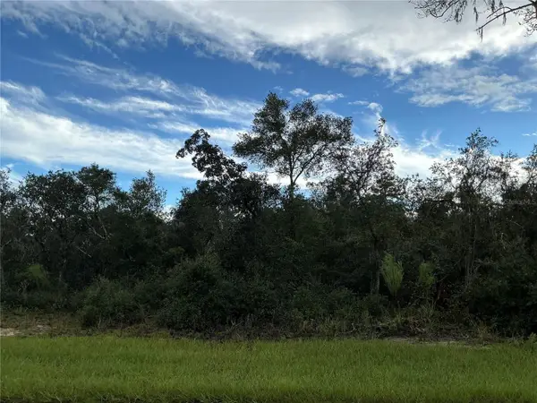 0 SW 178th Streets, OCALA, FL 34473