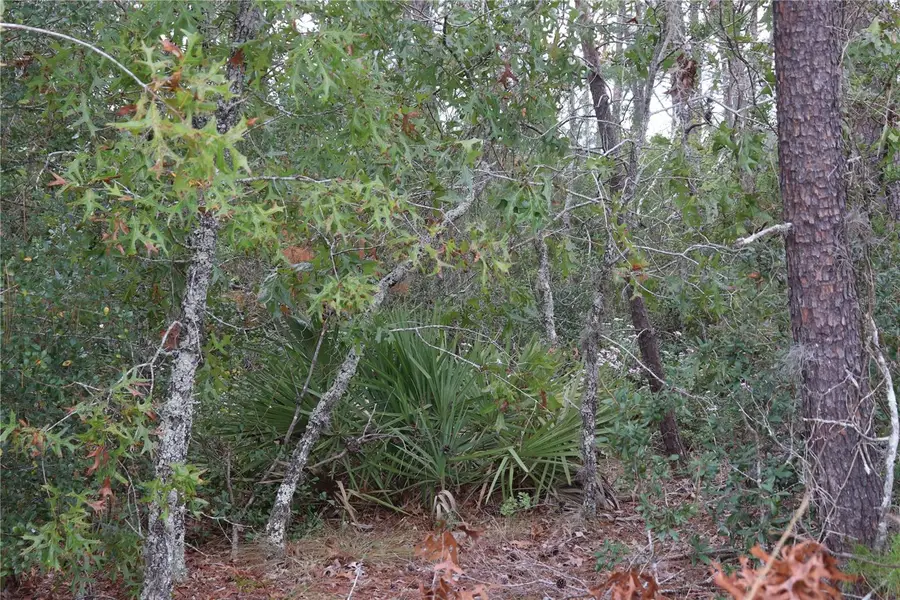 9478 N Timber Creek Terrace, Dunnellon, FL 34433 - Image #2