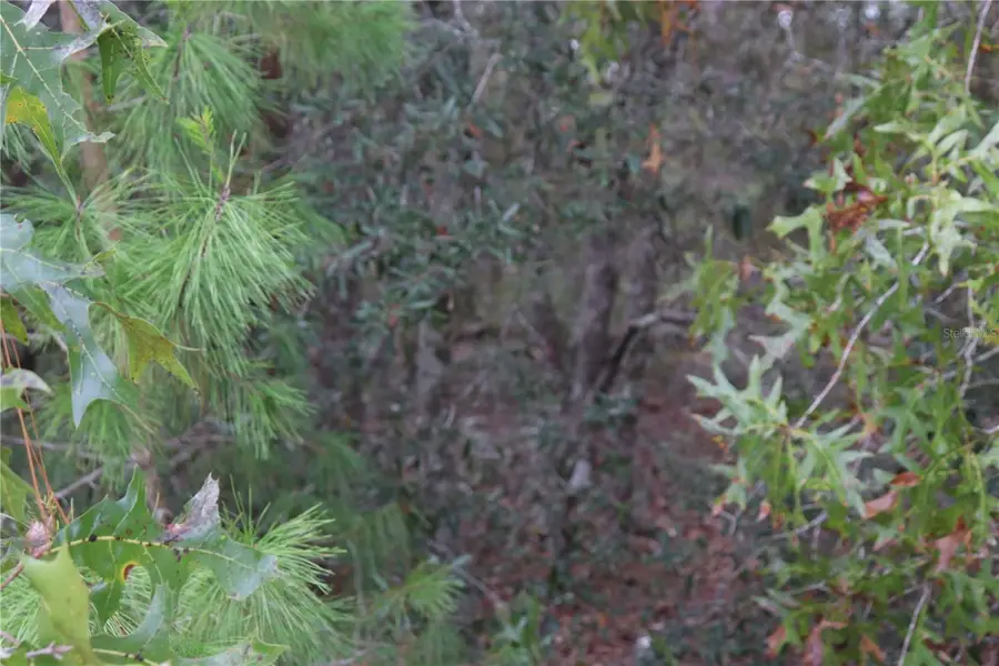 9478 N Timber Creek Terrace, Dunnellon, FL 34433 - Image #3