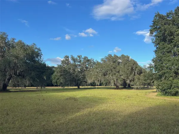 4160 NE 127th Place, ANTHONY, FL 32617
