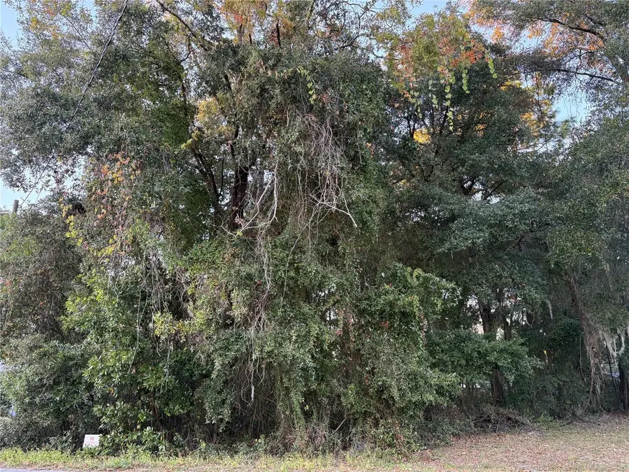 NW 60 Street, Ocala, FL 34482 - Image #3