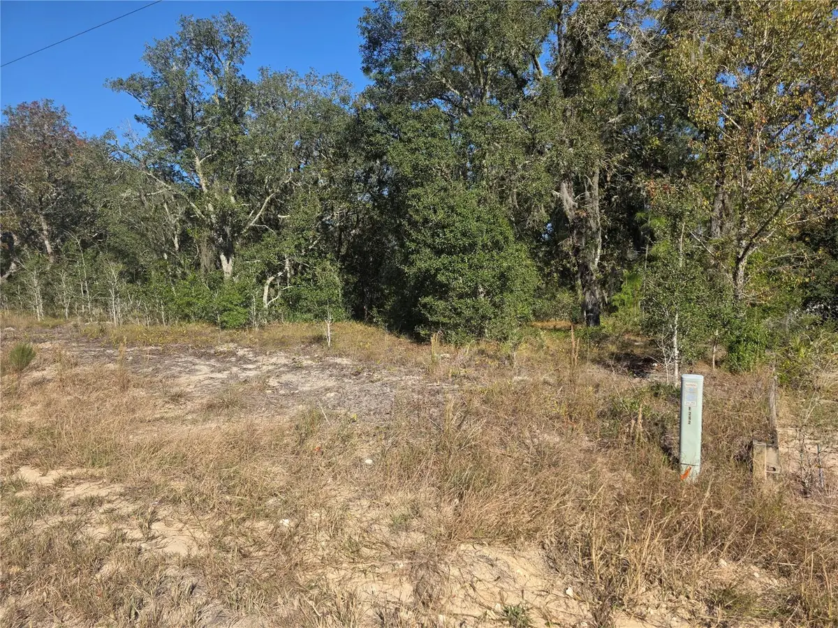 Lot 31 SW Viburnum Road, Dunnellon, FL 34431 - Image #1