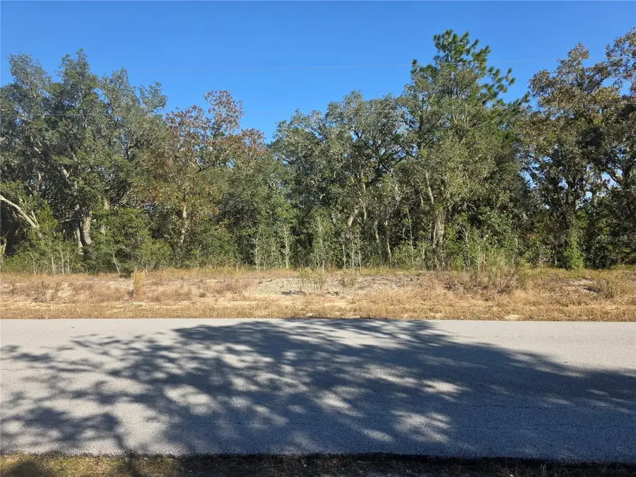 Lot 31 SW Viburnum Road, Dunnellon, FL 34431 - Image #2