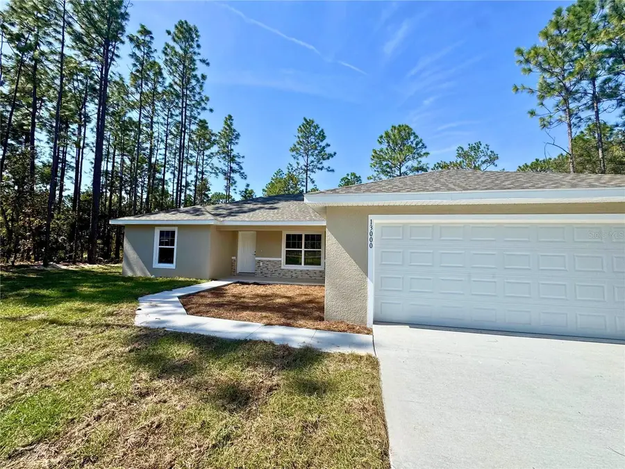 704 W Haguer Place, Dunnellon, FL 34434 - Image #3