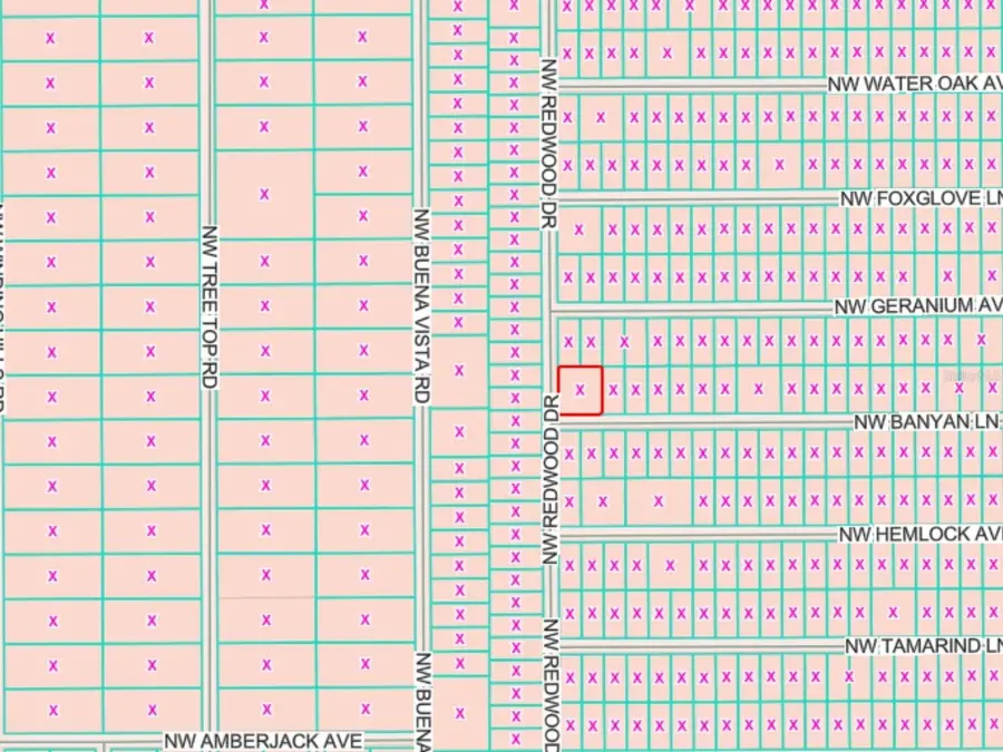 LOTS 65 & 66 NW Banyan Lane, Dunnellon, FL 34431 - Image #2